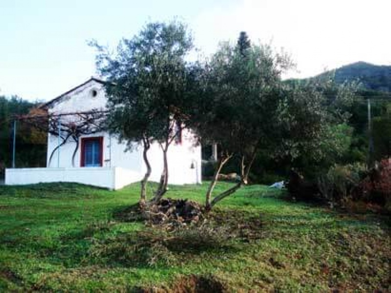 Corfu 49100, ,Detached House,For Sale,1025